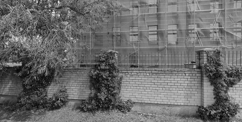 V.J. klinika